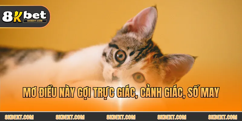 Mơ điều này gợi trực giác, cảnh giác, số may