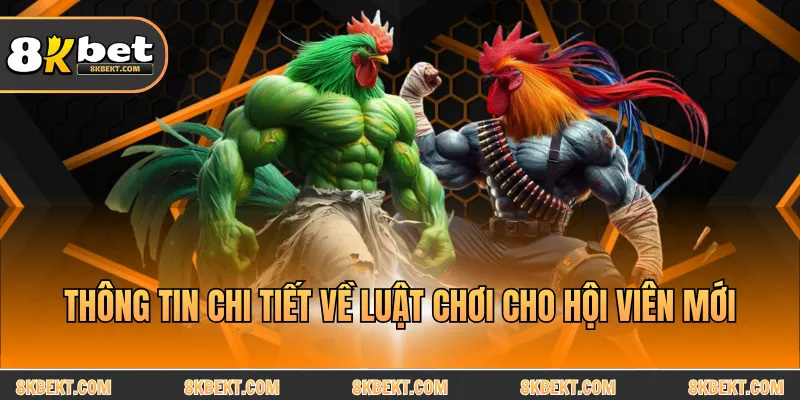 Thông tin chi tiết về luật chơi cho hội viên mới