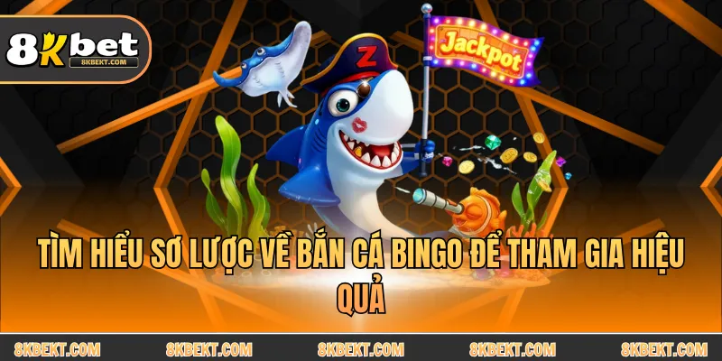 Tìm hiểu sơ lược về bắn cá bingo để tham gia hiệu quả